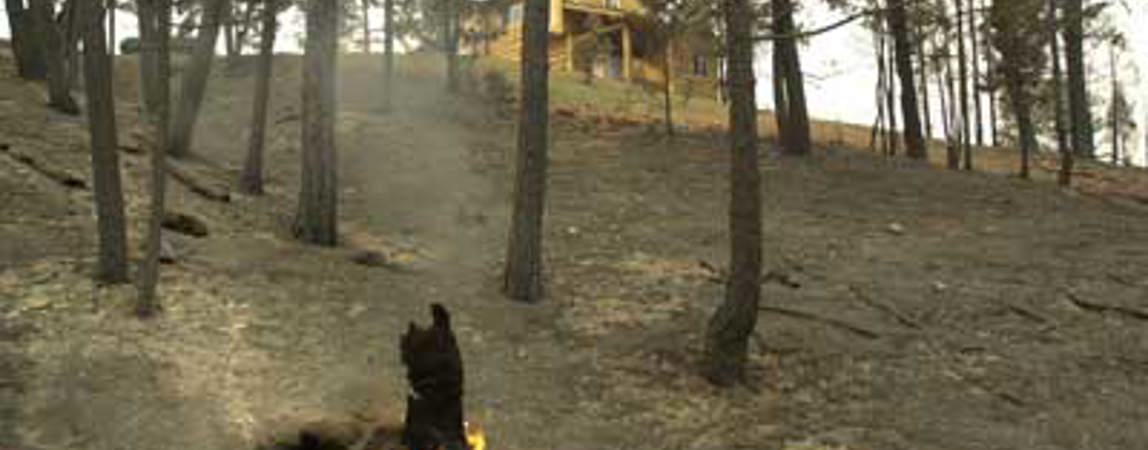 Wildland Urban Interface